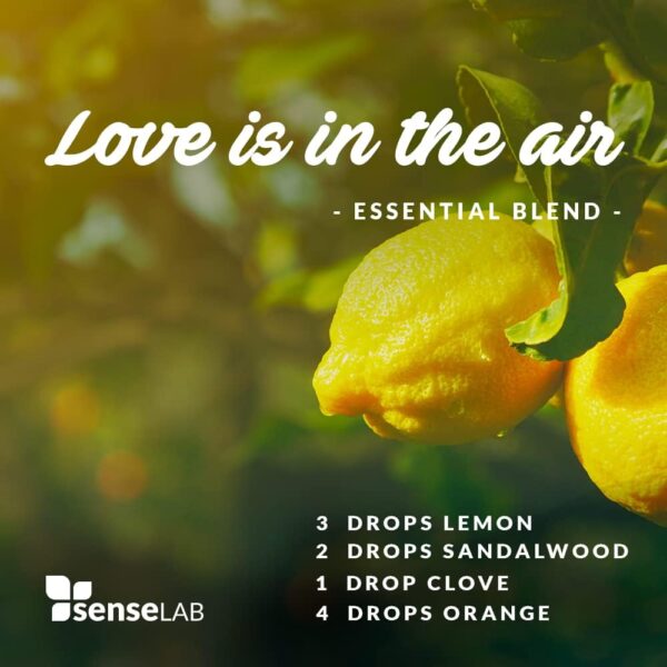 SenseLAB lemon essential oil -100% pure extract lemon oil - therapeutic grade lemon essential oil - moisturizing lemon oil - moo - Image 3