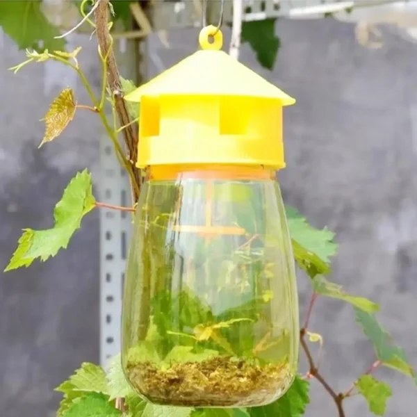 Fruit Fly Trap Killer Plastic Drosophila Trap Anti Fly Fruit Fly Killer Catcher Orchard Insect Trap Pest Control Products Drop - Image 3