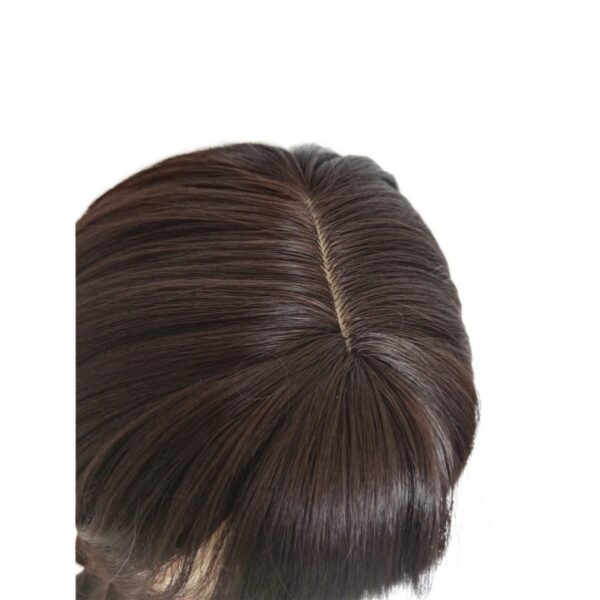 Addams Family Animated Wig Black Double Ponytail Braid Wig - Image 3