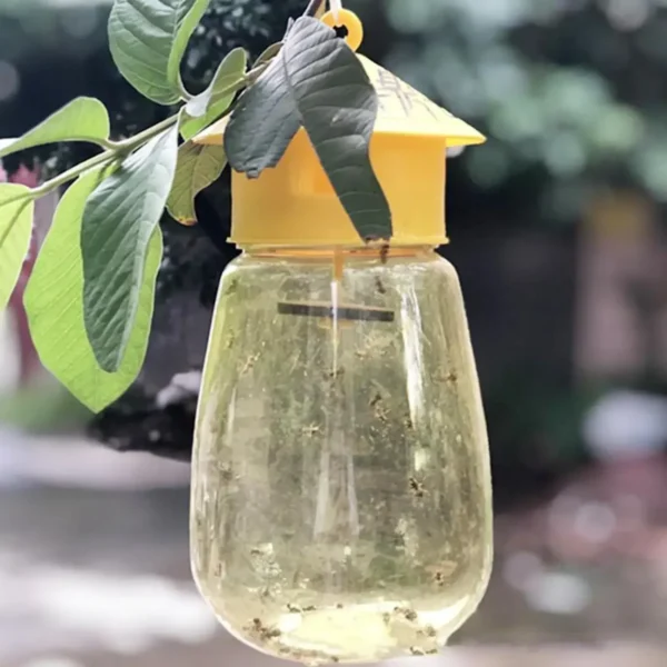 Fruit Fly Trap Killer Plastic Drosophila Trap Anti Fly Fruit Fly Killer Catcher Orchard Insect Trap Pest Control Products Drop - Image 2