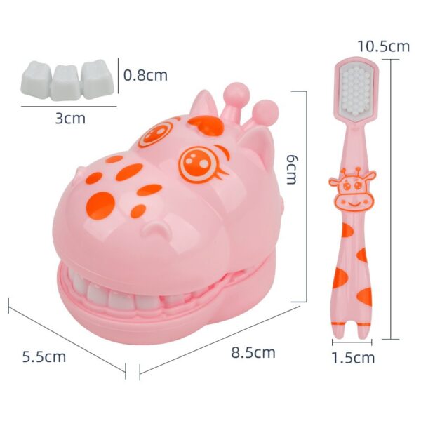 Teeth Model Doctor Toy Teeth Model Accessories Fun Interactive Family Dentist Set Toy - Image 4