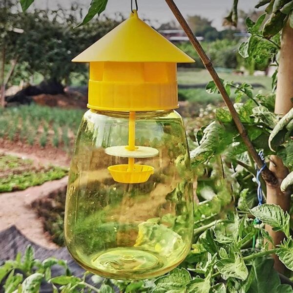 Fruit Fly Trap Killer Plastic Drosophila Trap Anti Fly Fruit Fly Killer Catcher Orchard Insect Trap Pest Control Products Drop - Image 9