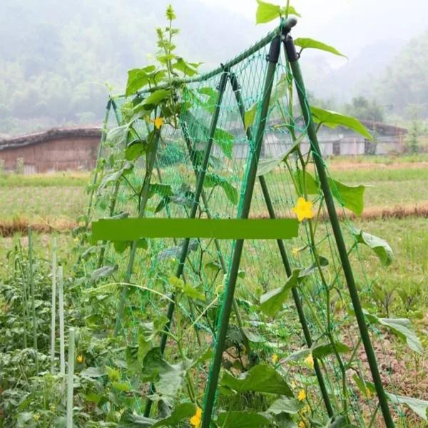 Nylon Mesh Horticulture Plant Crawl Net Loofah Morning Glory Cucumber Vine Grow Holder Crawl Farm Gardening Network - Image 4