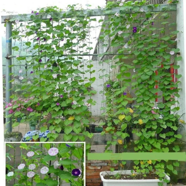 Nylon Mesh Horticulture Plant Crawl Net Loofah Morning Glory Cucumber Vine Grow Holder Crawl Farm Gardening Network - Image 3