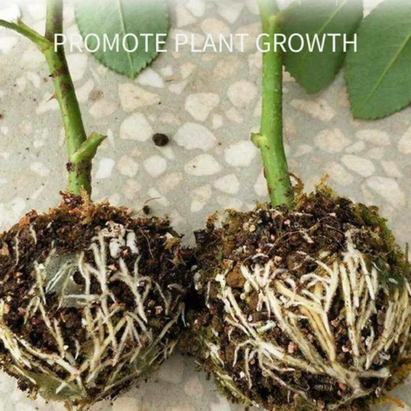 1Pcs  Plant Rooting Growing Box Plant Rooting Box Case Rooting Ball Plastic Flower Container Nursery Box for garden - Image 6