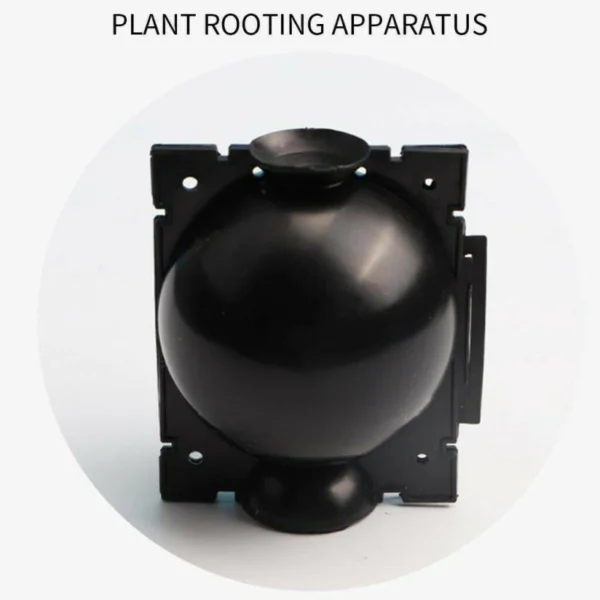 1Pcs  Plant Rooting Growing Box Plant Rooting Box Case Rooting Ball Plastic Flower Container Nursery Box for garden - Image 2